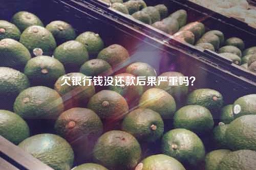 欠银行钱没还款后果严重吗？